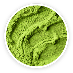 Green seaweed powder, the fucoidan source used in LeanBliss